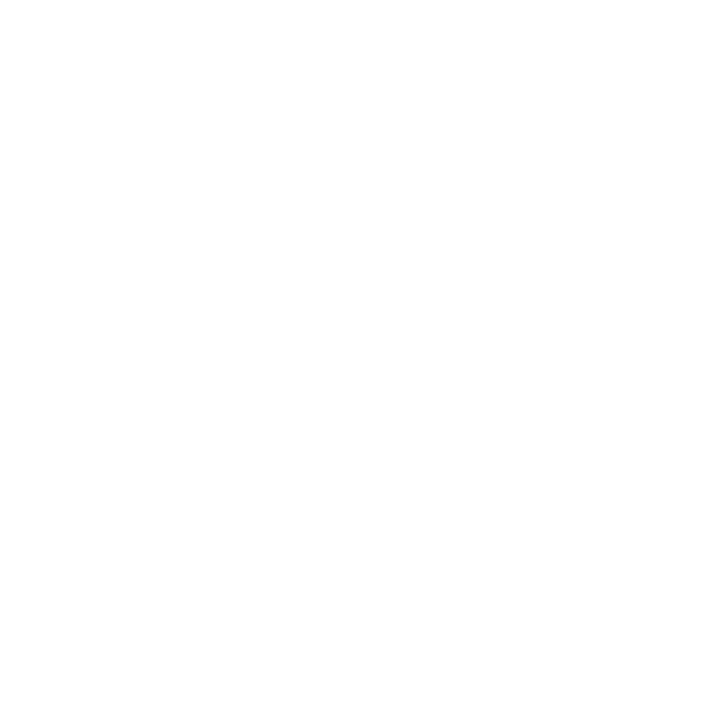 The Minds Studio Logo