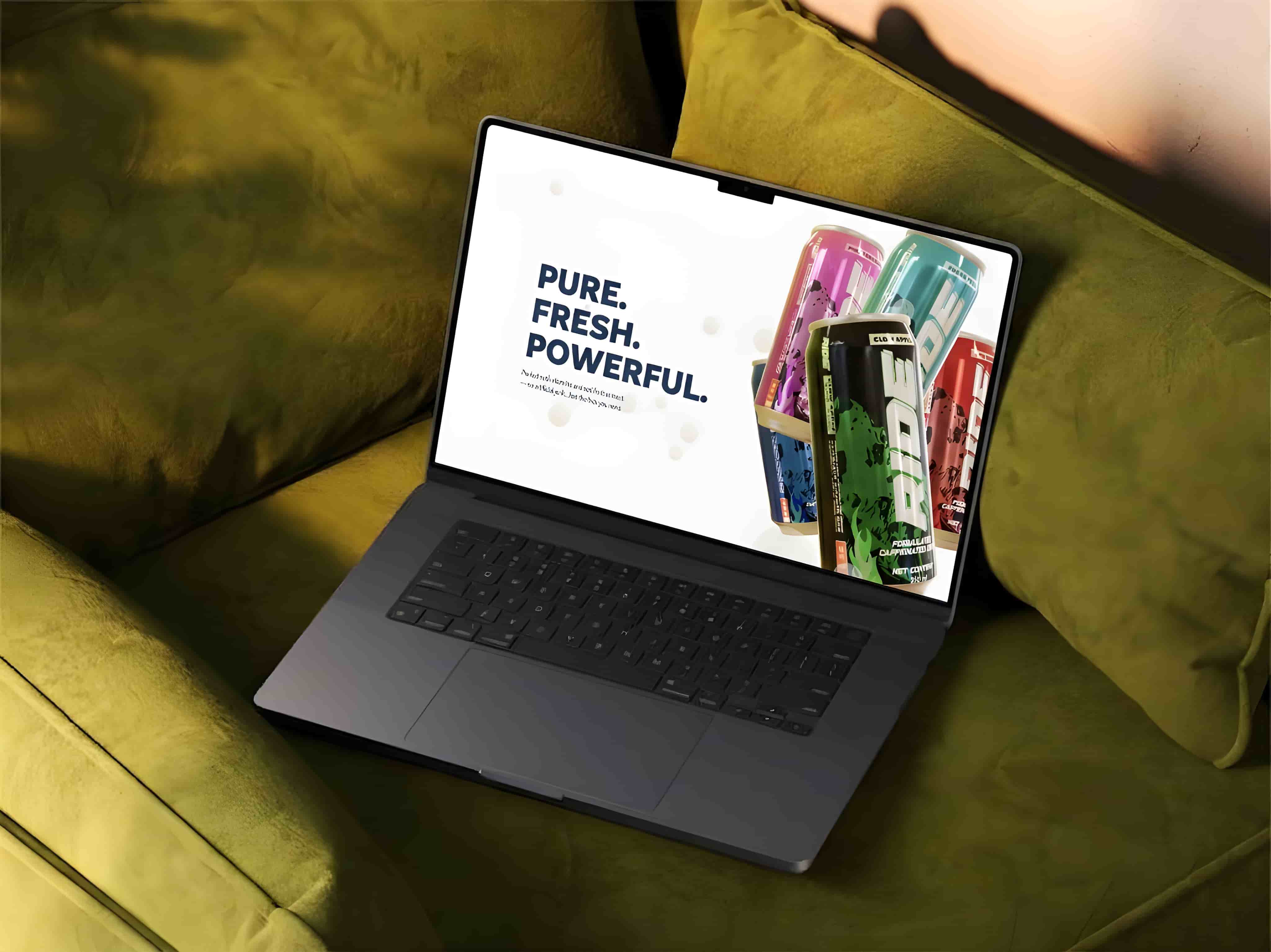 Premium Web Designing